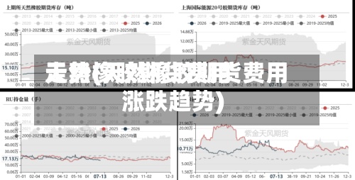 天然橡胶期货费用
走势(天然橡胶期货费用
涨跌趋势)-第2张图片