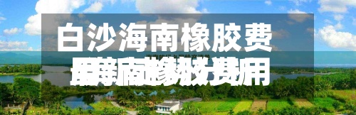白沙海南橡胶费用
/海南橡胶费用
最新走势分析-第2张图片