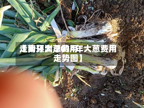 【南环大葱费用走势预测,2014年大葱费用走势图】