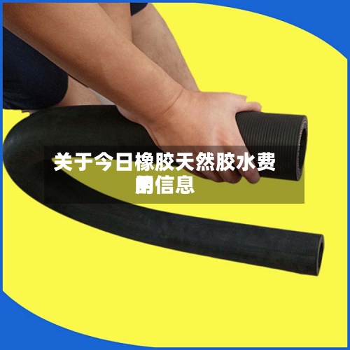 关于今日橡胶天然胶水费用
的信息-第3张图片