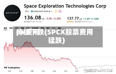 px费用持续下跌(SPCX股票费用猛跌)-第2张图片