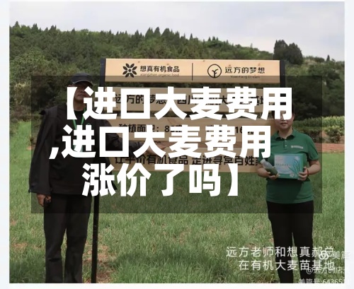 【进口大麦费用,进口大麦费用涨价了吗】-第2张图片
