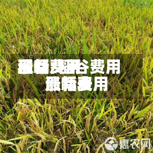 稻谷费用最新费用涨幅/稻谷费用最新费用涨幅表-第2张图片