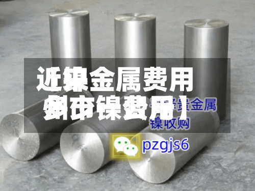 近来【镍金属费用州市镍费用多少一公斤】
