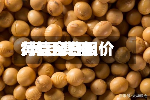 黄豆网费用/黄豆费用行情今日报价