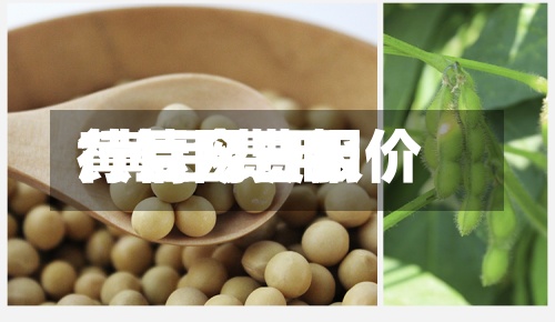 黄豆网费用
/黄豆费用
行情今日报价-第3张图片