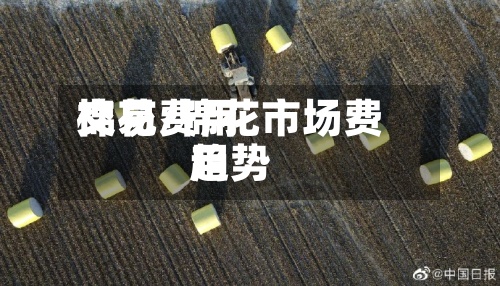 棉花费用
交易/棉花市场费用
趋势-第2张图片
