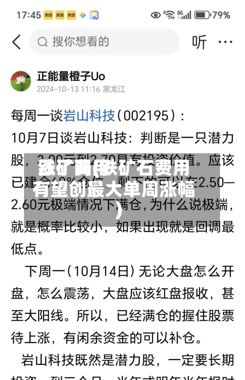 铁矿费用
涨了吗(铁矿石费用
有望创最大单周涨幅)-第2张图片