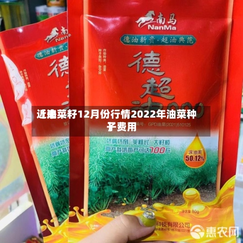 近来【油菜籽12月份行情2022年油菜种子费用】