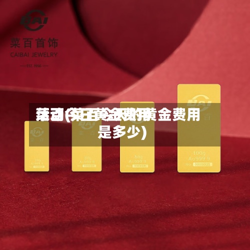 菜百今日黄金费用
活动(菜百今天的黄金费用
是多少)-第2张图片