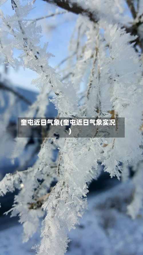 奎屯近日气象(奎屯近日气象实况)