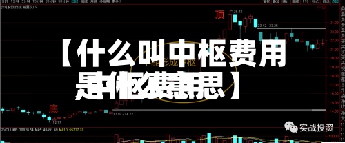 【什么叫中枢费用
,中枢费用
是什么意思】-第2张图片