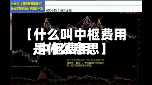 【什么叫中枢费用,中枢费用是什么意思】