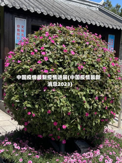中国疫情最新疫情进展(中国疫情最新消息2023)-第3张图片