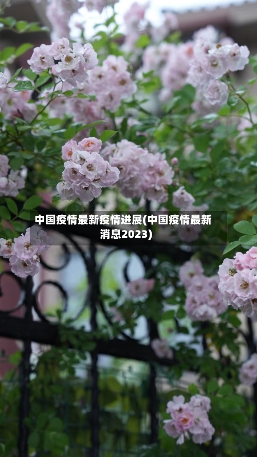 中国疫情最新疫情进展(中国疫情最新消息2023)-第2张图片