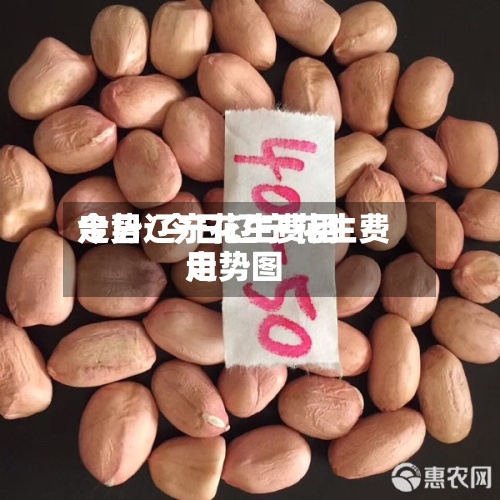 今日辽宁花生费用走势/今日辽宁花生费用走势图