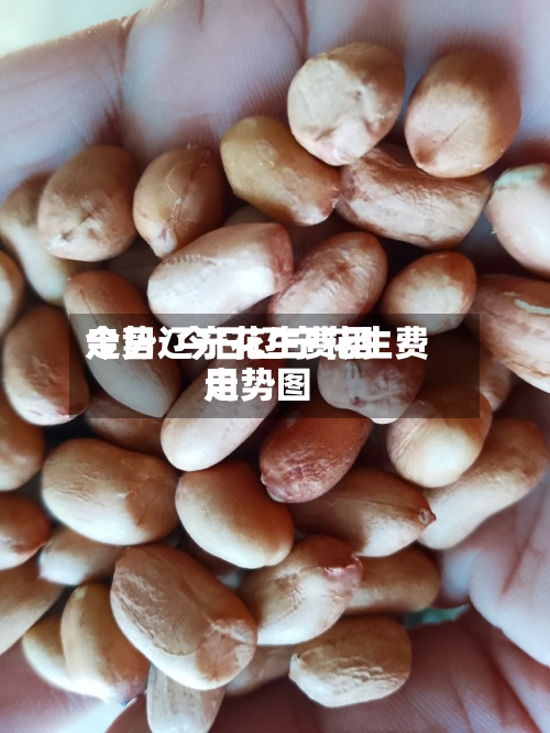 今日辽宁花生费用
走势/今日辽宁花生费用
走势图-第2张图片