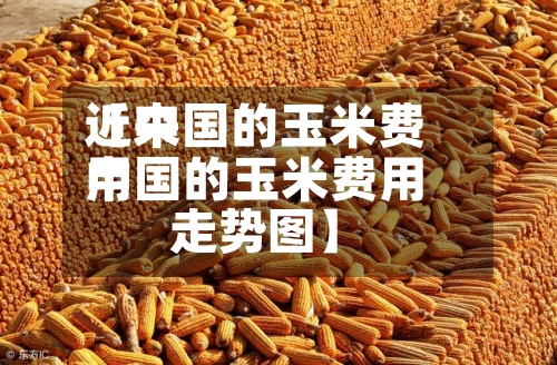 近来【中国的玉米费用中国的玉米费用走势图】-第2张图片