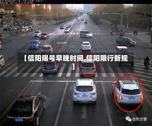 【信阳限号早晚时间,信阳限行新规】-第3张图片