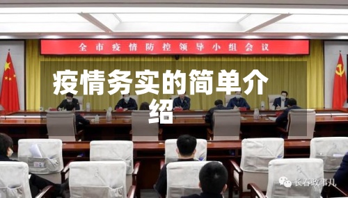 疫情务实的简单介绍-第2张图片