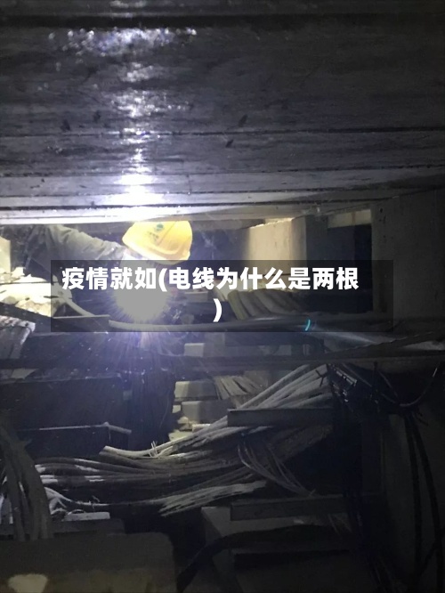 疫情就如(电线为什么是两根)-第3张图片