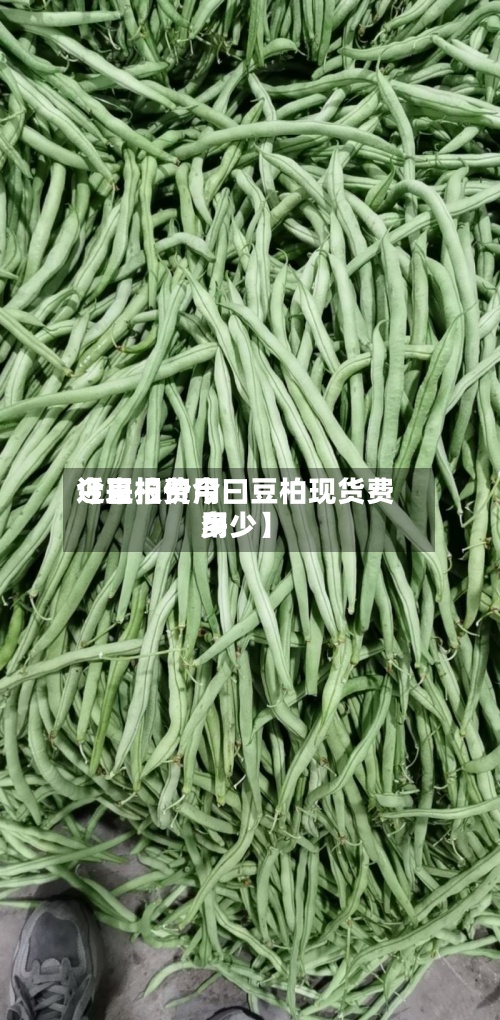 近来【豆柏费用今日报价今曰豆柏现货费用多少】