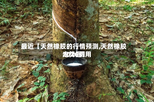 最近【天然橡胶的行情预测,天然橡胶2026费用
走势图】-第2张图片