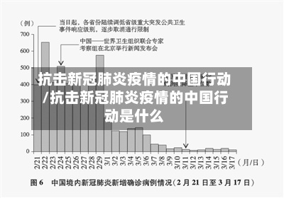 抗击新冠肺炎疫情的中国行动/抗击新冠肺炎疫情的中国行动是什么-第2张图片