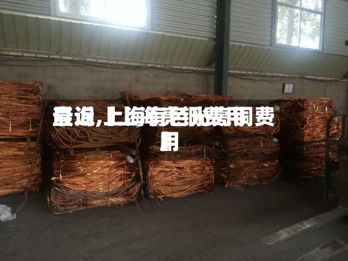 最近【上海亮铜费用
查询,上海有色光亮铜费用
】-第2张图片