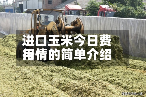进口玉米今日费用行情的简单介绍