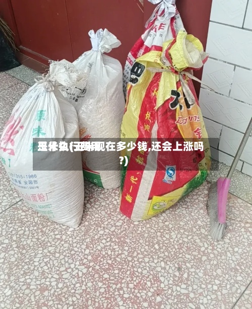 玉米执行费用是什么(玉米现在多少钱,还会上涨吗?)