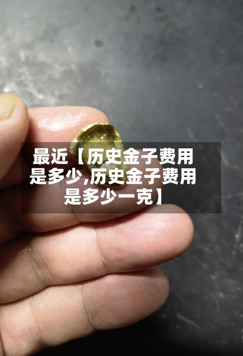 最近【历史金子费用是多少,历史金子费用是多少一克】