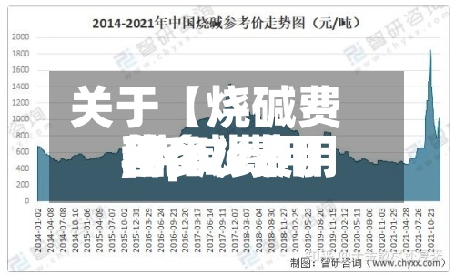 关于【烧碱费用和pvc费用,烧碱费用和pvc费用差多少】