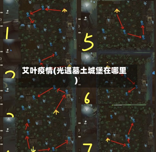 艾叶疫情(光遇墓土城堡在哪里)