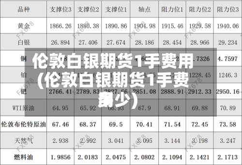 伦敦白银期货1手费用
(伦敦白银期货1手费用
多少)-第3张图片