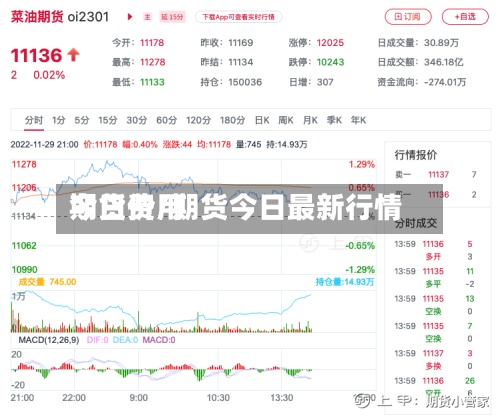期货费用今日价/期货今日最新行情