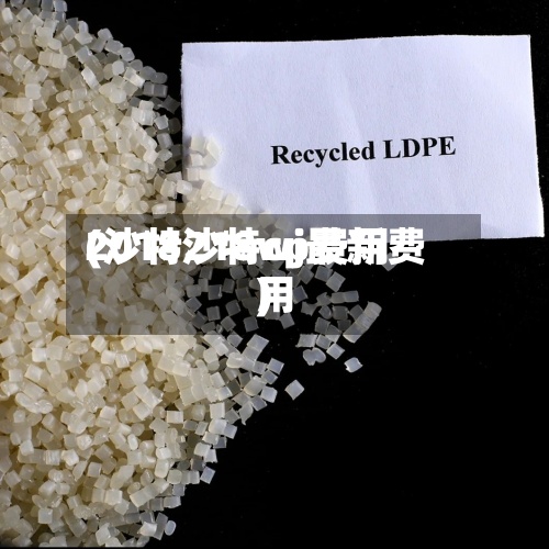 2018沙特cp费用
(沙特218wj最新费用
)-第2张图片