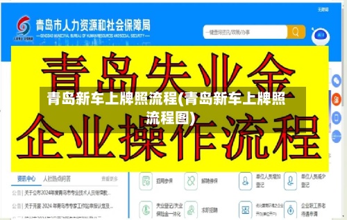 青岛新车上牌照流程(青岛新车上牌照流程图)