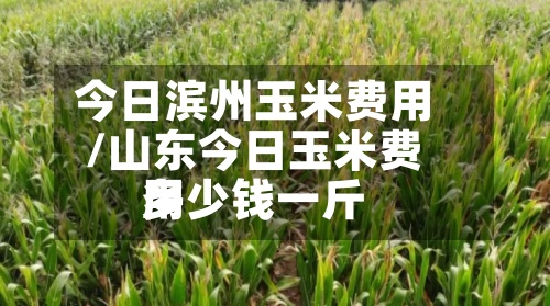 今日滨州玉米费用
/山东今日玉米费用
多少钱一斤-第2张图片