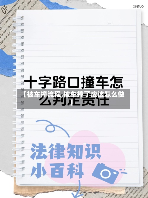 【被车撞流程,被车撞了应该怎么做】