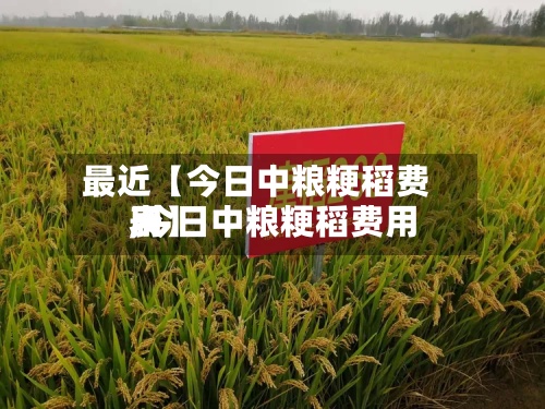 最近【今日中粮粳稻费用
,今日中粮粳稻费用
表】-第2张图片