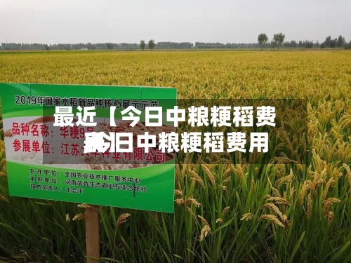 最近【今日中粮粳稻费用,今日中粮粳稻费用表】