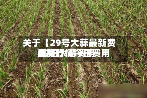 关于【29号大蒜最新费用
,今日大蒜费用
最新行情今日费用
走势】-第2张图片