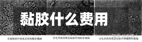 黏胶什么费用(粘胶最新费用行情走势)-第2张图片