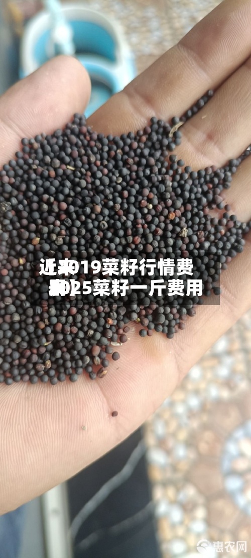 近来
【2019菜籽行情费用
2025菜籽一斤费用
表】-第2张图片