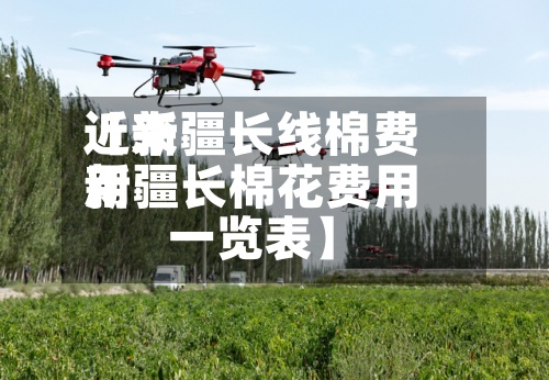 近来
【新疆长线棉费用
新疆长棉花费用
一览表】-第3张图片