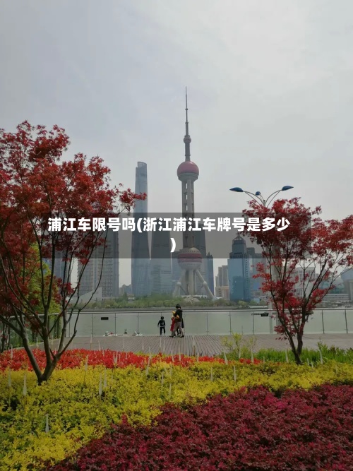 浦江车限号吗(浙江浦江车牌号是多少)-第2张图片