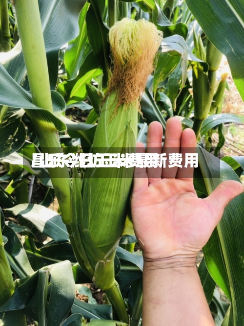 昌乐今日玉米费用
/山东潍坊玉米最新费用
-第2张图片