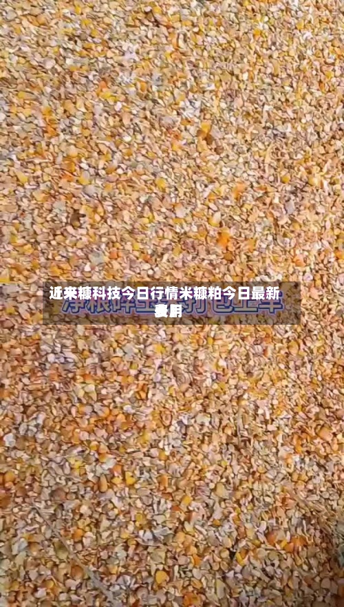 近来【米糠科技今日行情米糠粕今日最新费用表】