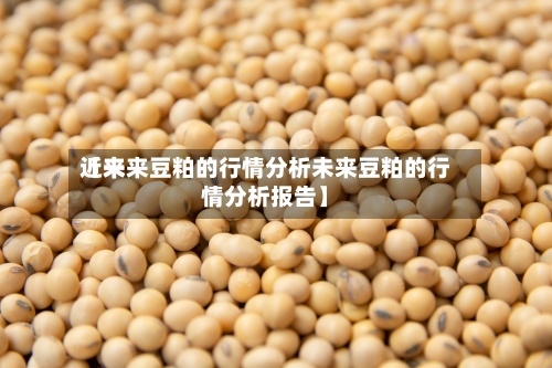 近来【未来豆粕的行情分析未来豆粕的行情分析报告】